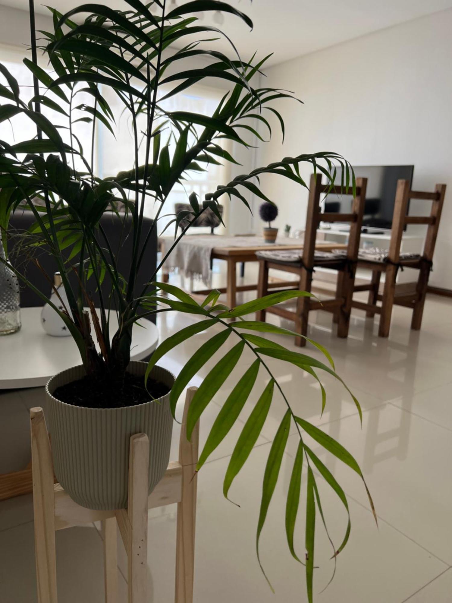 Arenales Premium Apartment